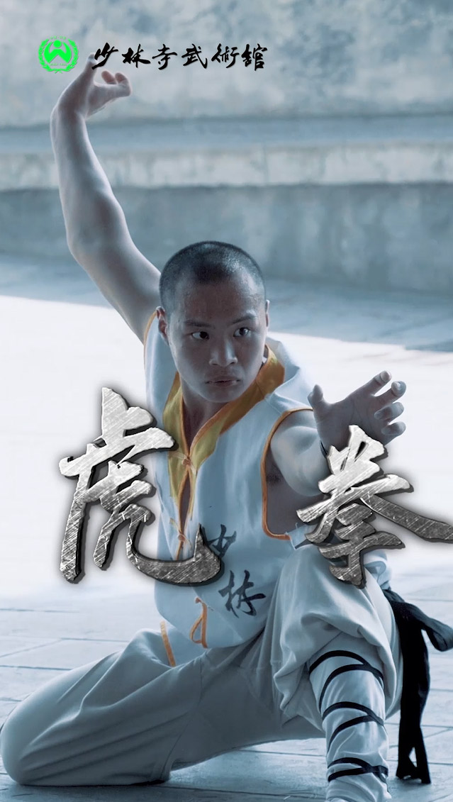 少林象形拳