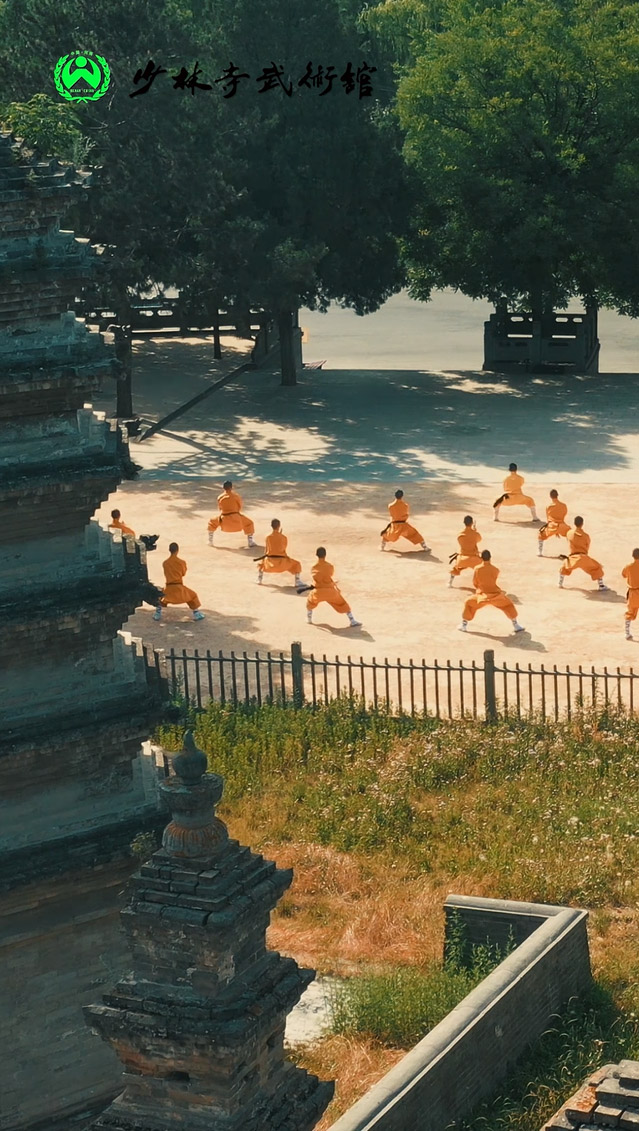 塔林练拳