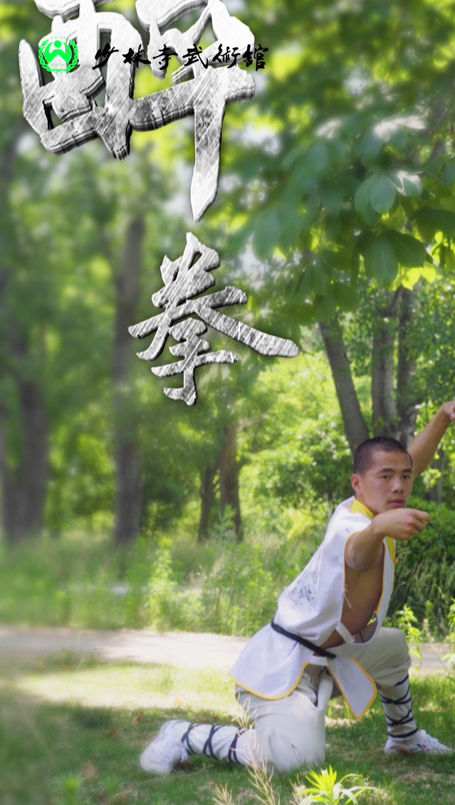醉拳