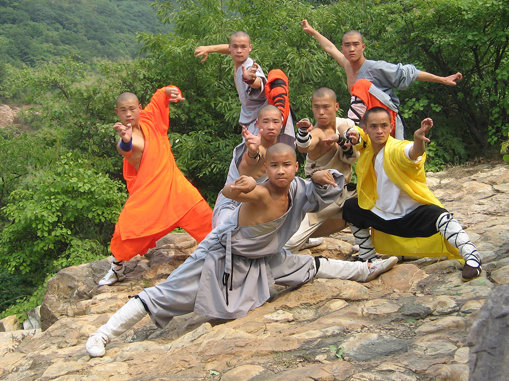 武术动作之一