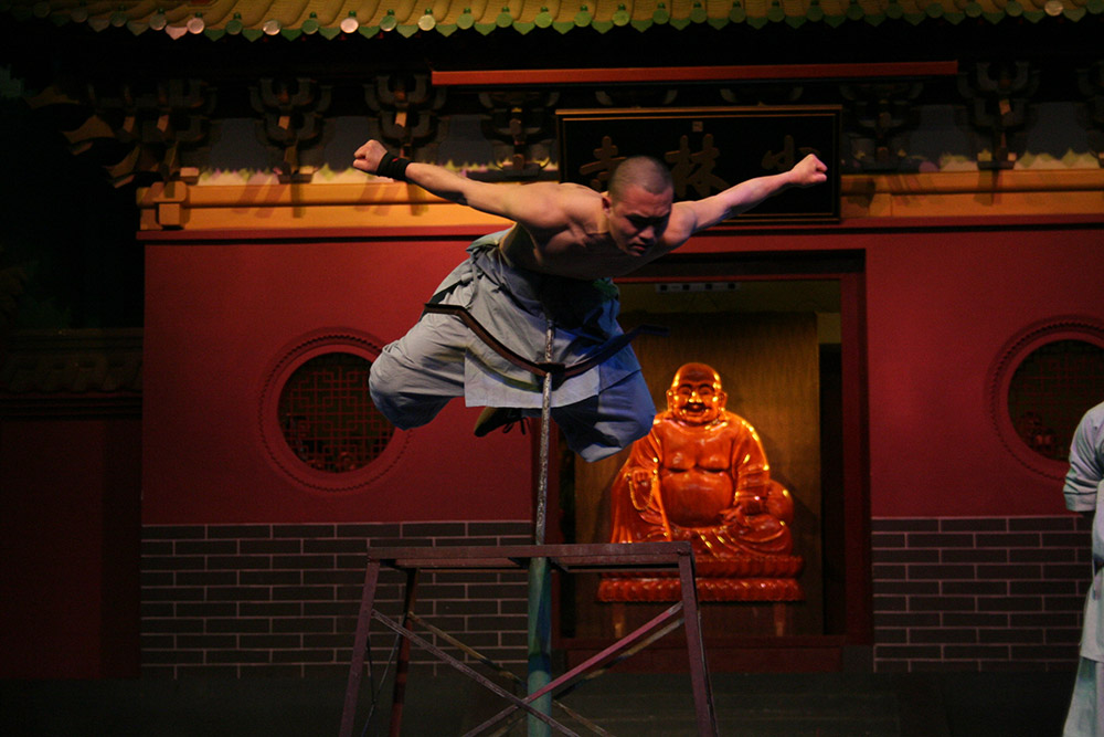 武术动作之一
