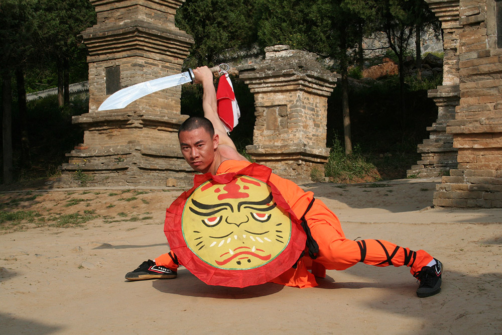 武术动作之一